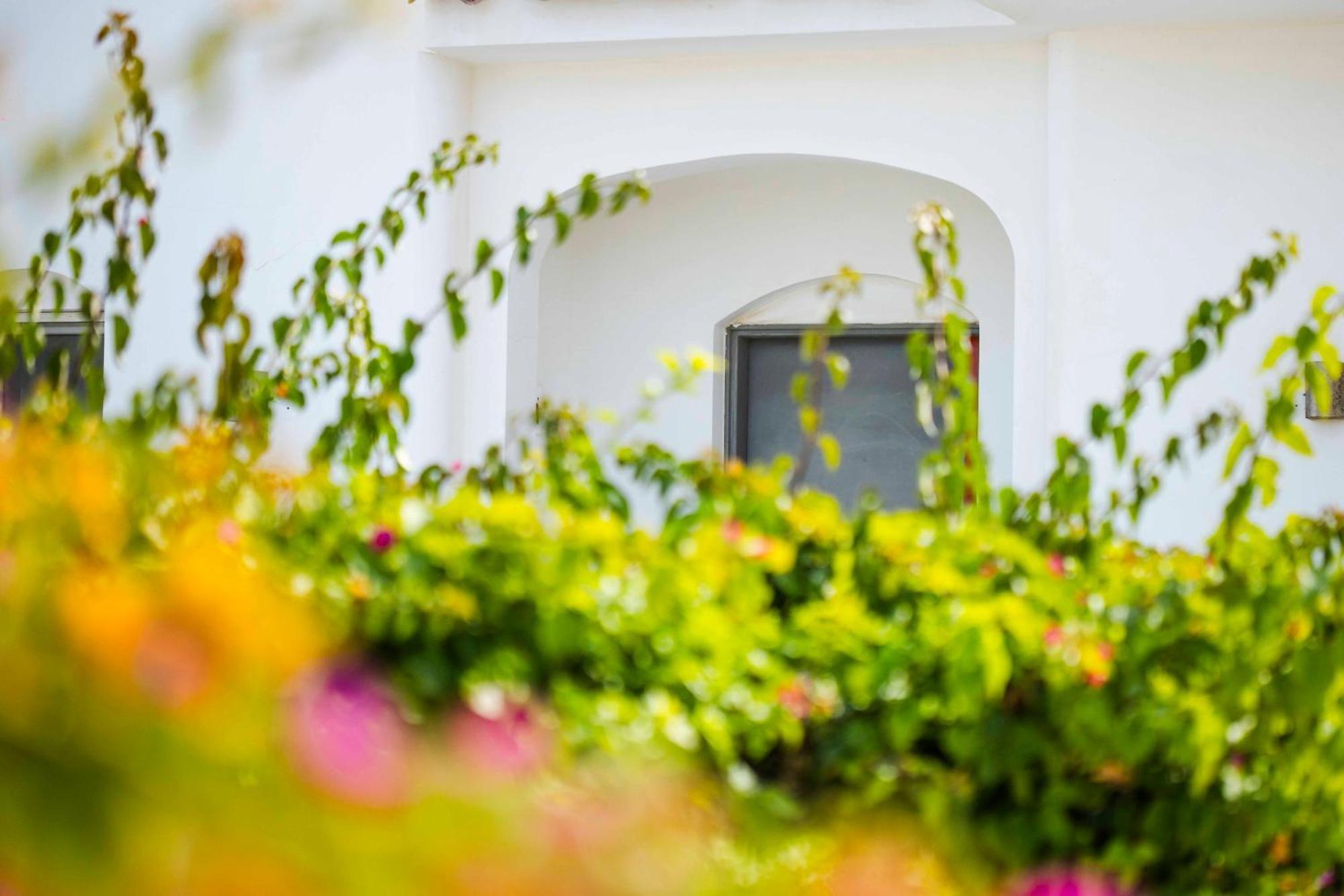 El Gouna Elite Worldwide Private Residences, Sea & Garden View - Hurghada, Egypt Eksteriør bilde